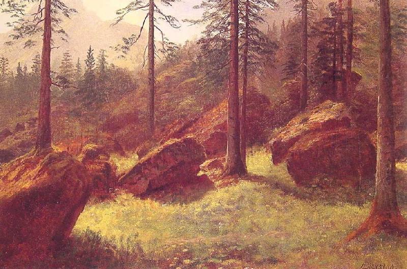 Albert Bierstadt Wooded Landscape china oil painting image